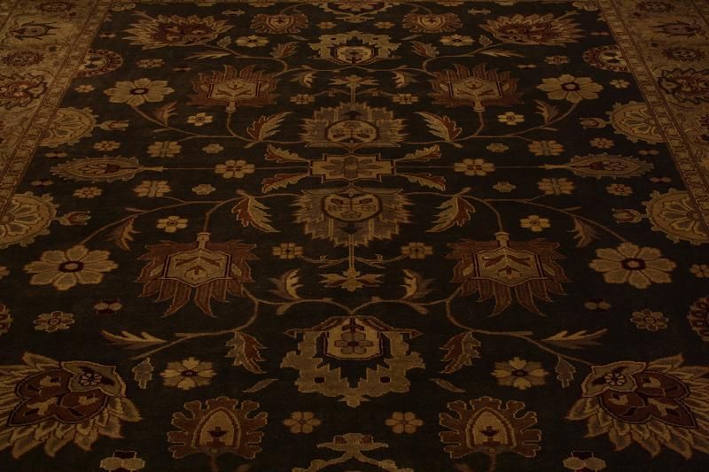 New Rare Color Hand Knotted Agra Allover Oriental Handmade Rugs 